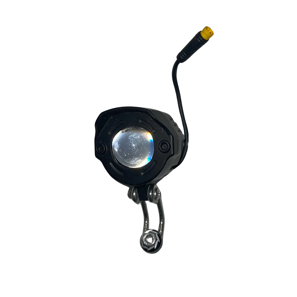 Horn Light